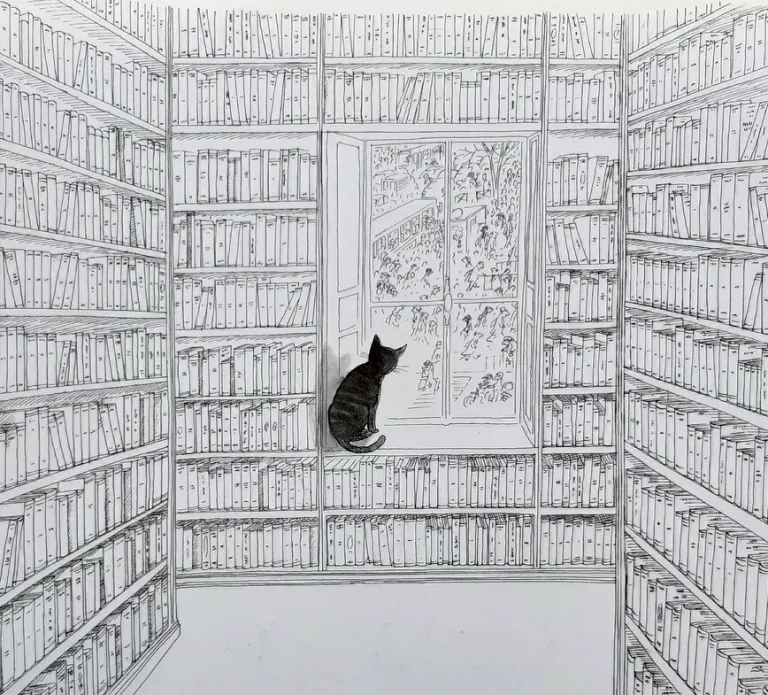 immagine per La Biblioteca di Argillateatri è di nuovo senza una casa