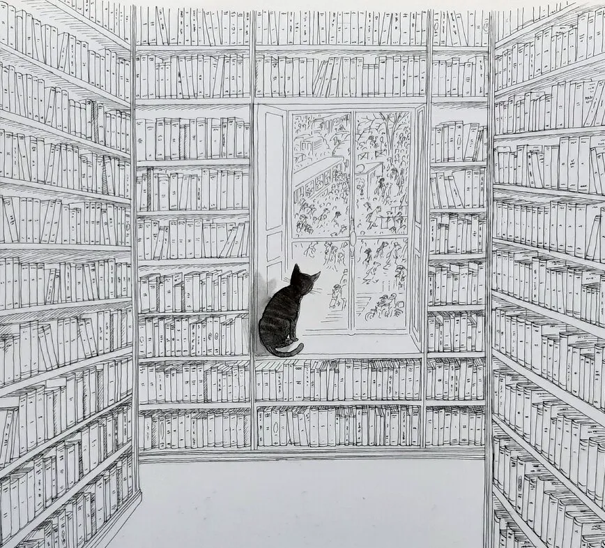 immagine per La Biblioteca di Argillateatri è di nuovo senza una casa
