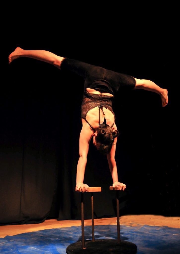 immagine per FREE FESTIVAL 1# Il Circo delle sorelle KatrasKa con PisyKopatiKa