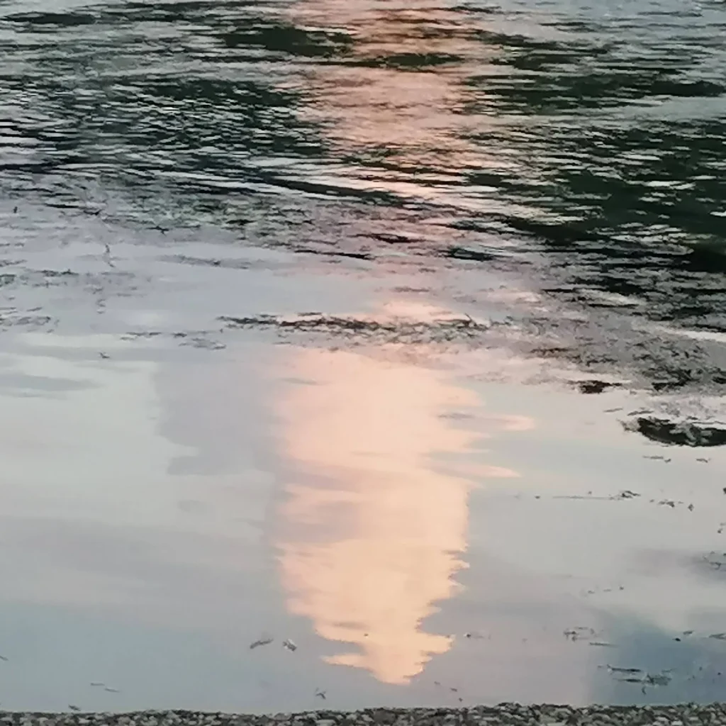 immagine per Un fiume di pace