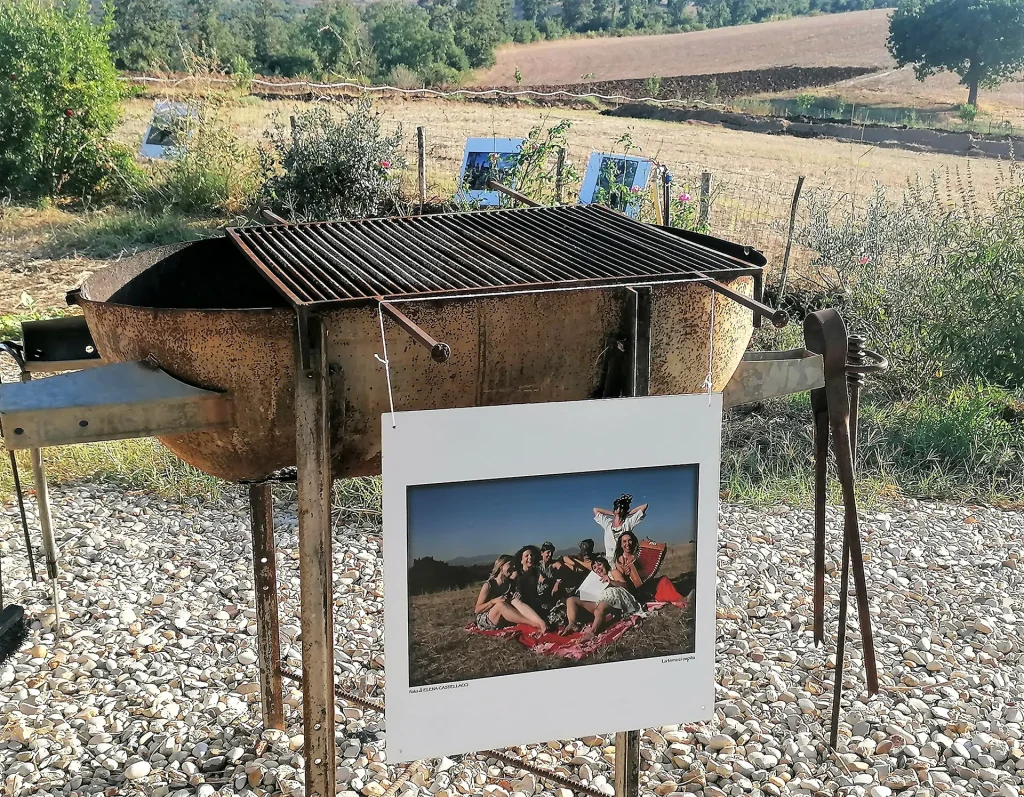 immagine per Natura e Pace