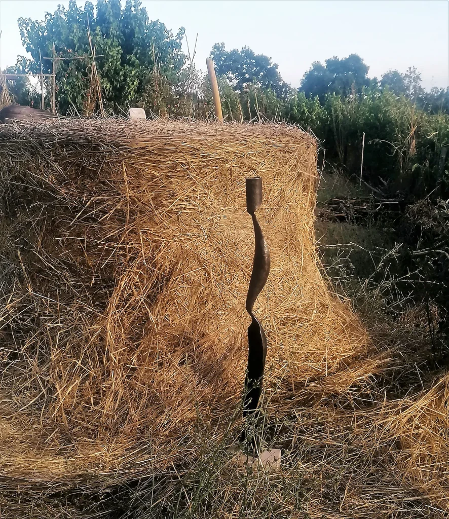 immagine per Natura e Pace