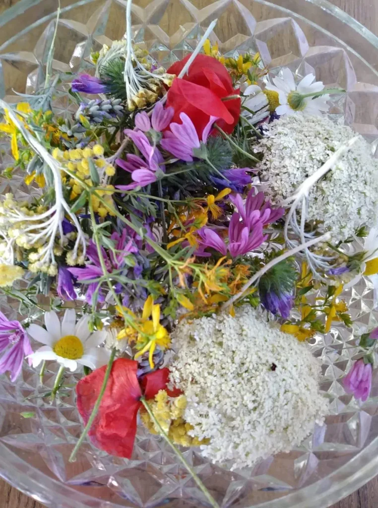 immagine per I Tesori di Gaia. Erbe, fiori e frutti per il benessere.