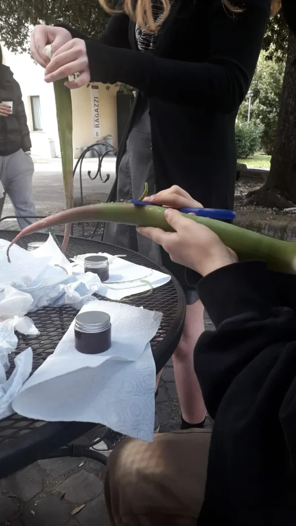 immagine per Herbarie. Un progetto per nuove possibilità.