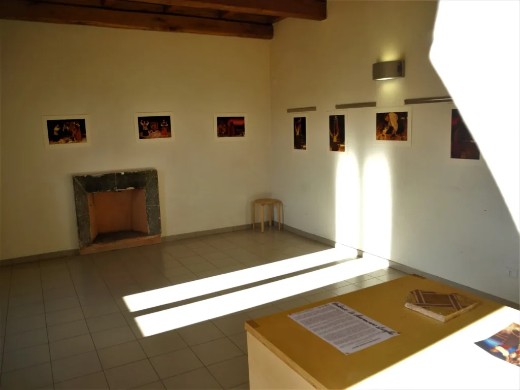 immagine per Herbarie. Un progetto per nuove possibilità.
