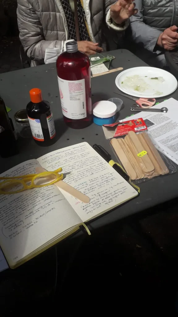 immagine per Menta, rosa e genziana. Il laboratorio di trasformazione erboristica