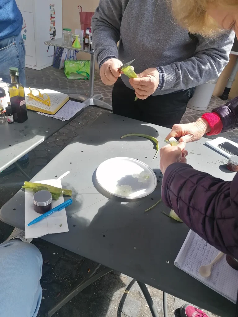immagine per Menta, rosa e genziana. Il laboratorio di trasformazione erboristica
