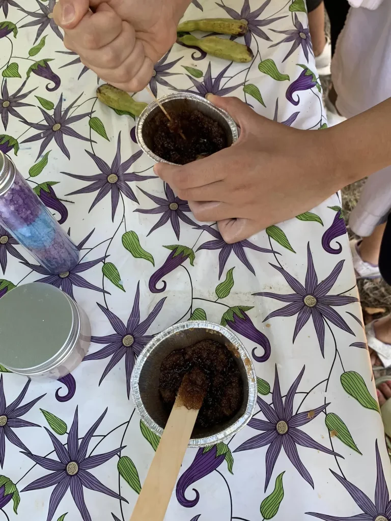 immagine per Laboratorio di Erbologia per bambini