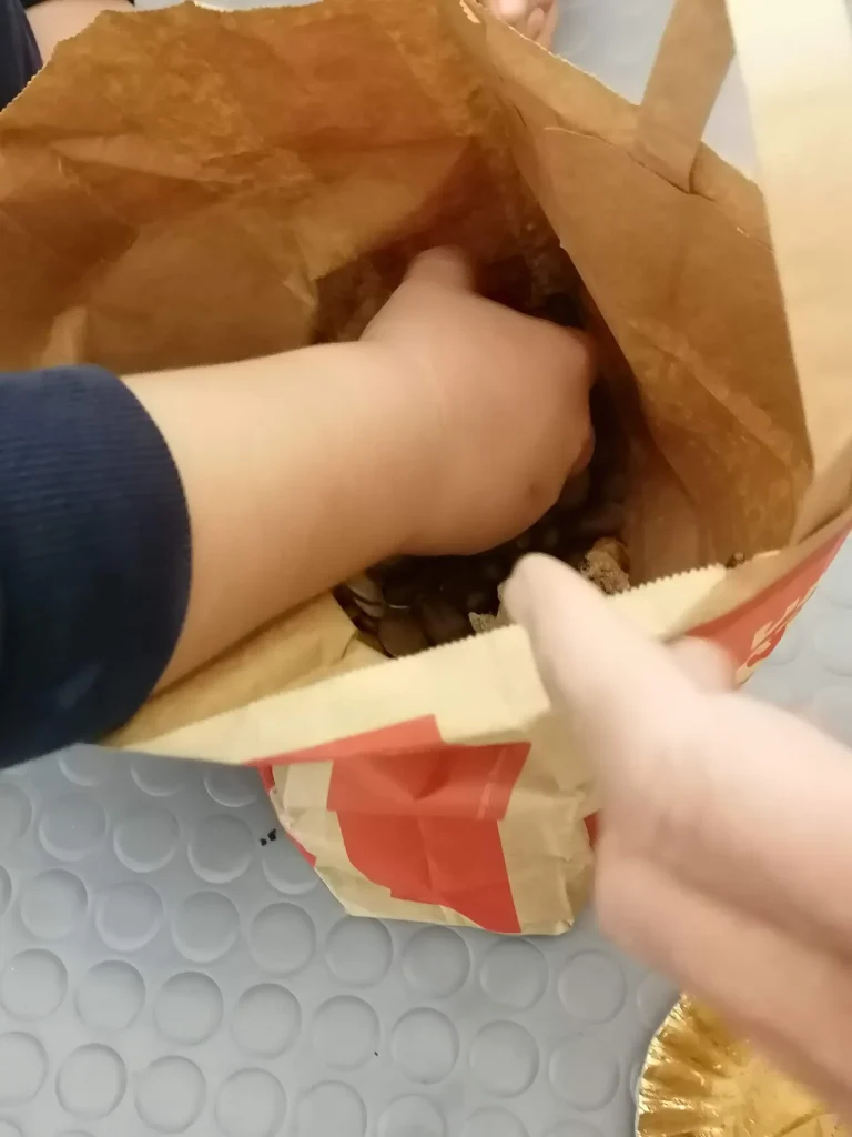 immagine per Laboratorio di Erbologia per bambini