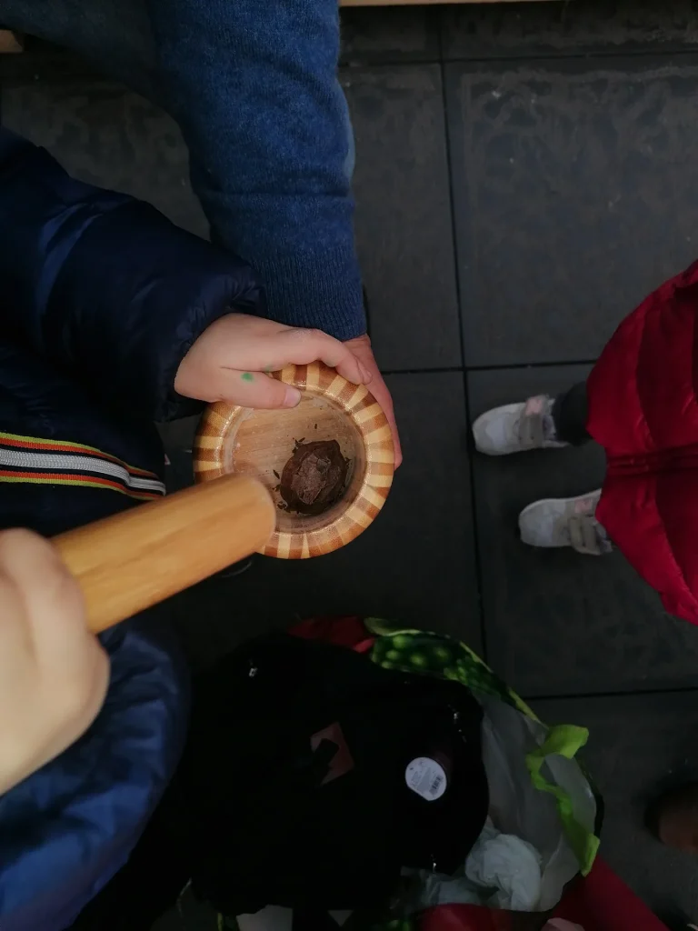 immagine per Laboratorio di Erbologia per bambini