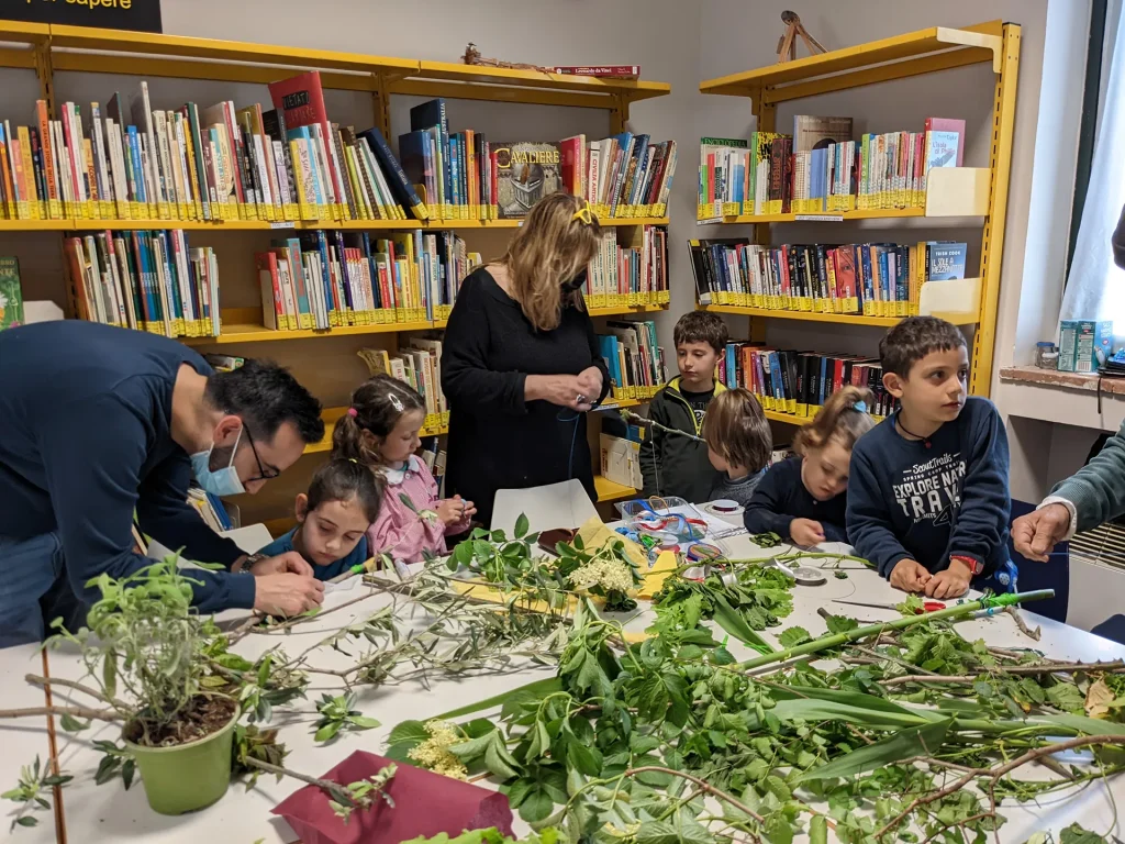 immagine per Laboratorio di Erbologia per bambini