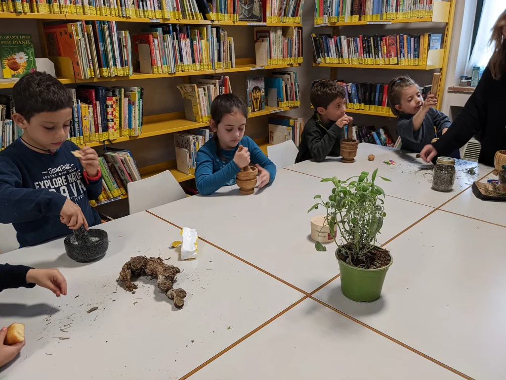 immagine per Laboratorio di Erbologia per bambini